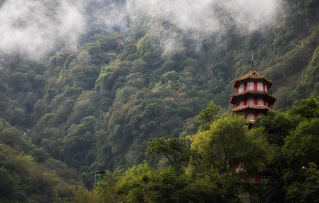 森林,山雾,塔,台湾风景4k高端电脑桌面壁纸