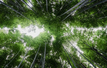 高清带鱼屏壁纸 3440x1440壁纸 带鱼屏电脑壁纸 带鱼屏手机壁纸 百变桌面